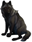 Phox Redhawk - Wolf Roleplay Wiki