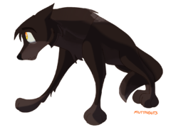 Ashlar Quinn Mayfair-Cairn - Wolf Roleplay Wiki